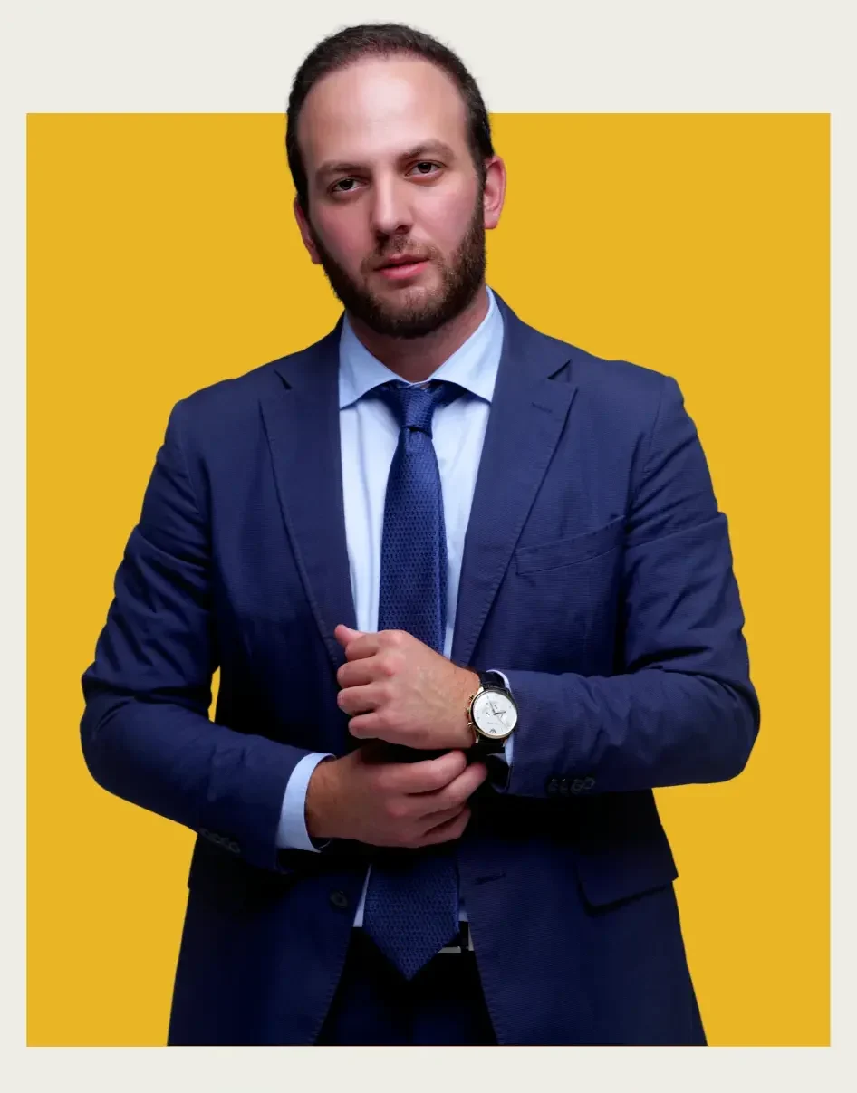 ნიკოლოზ ნებულიშვილი